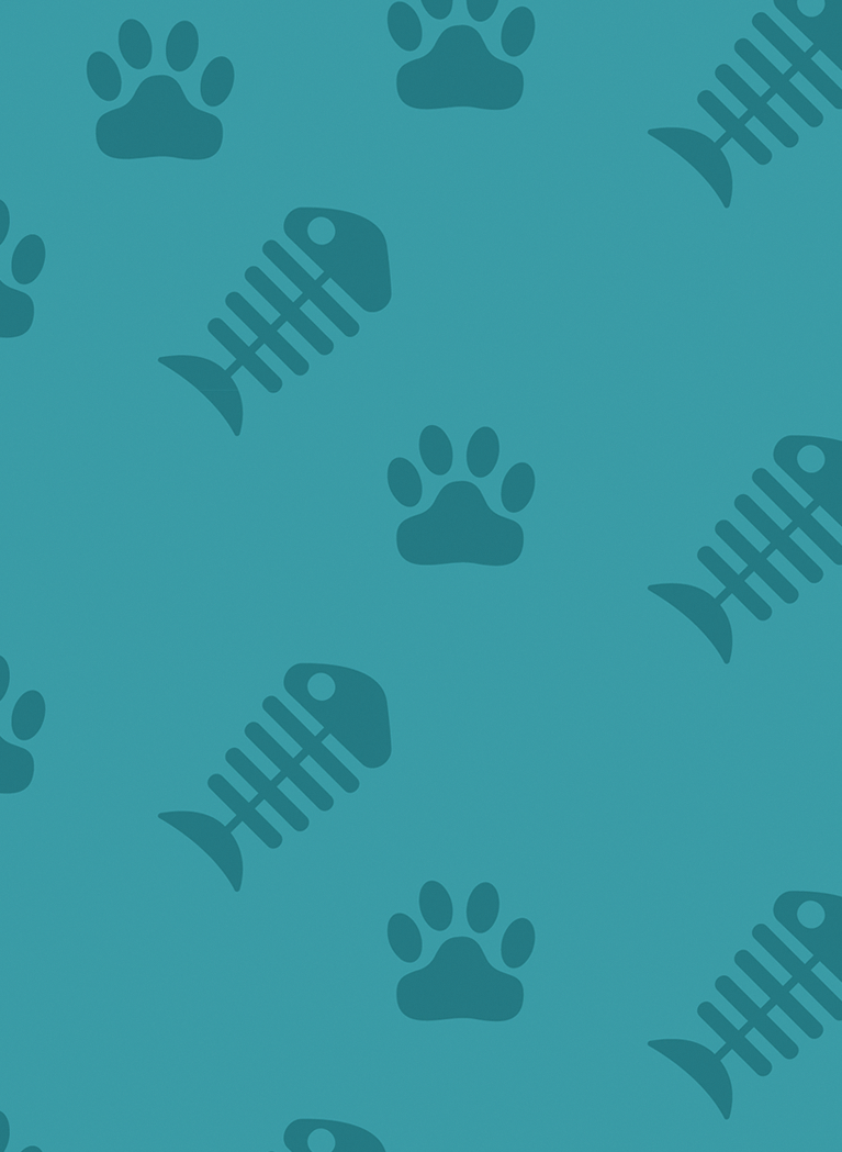 Teal background with paw print and fish bone pattern